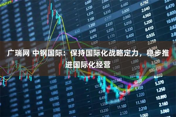 广瑞网 中钢国际:保持国际化战略定力,稳步推进国际化经营
