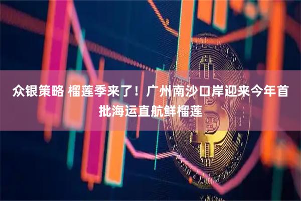 众银策略 榴莲季来了！广州南沙口岸迎来今年首批海运直航鲜榴莲