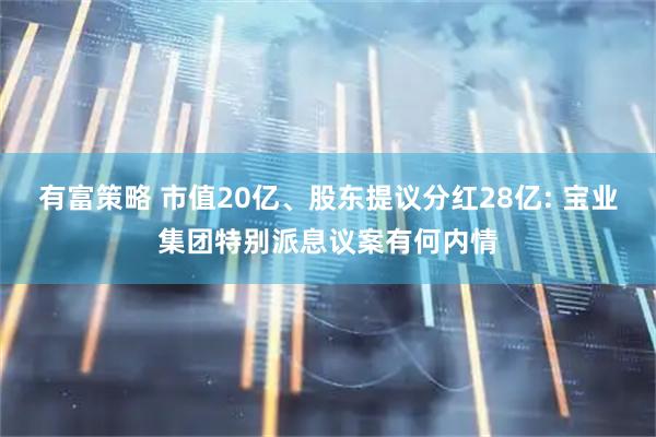 有富策略 市值20亿、股东提议分红28亿: 宝业集团特别派息议案有何内情