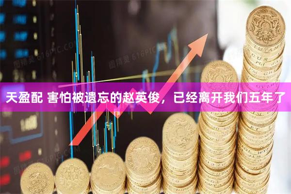 天盈配 害怕被遗忘的赵英俊，已经离开我们五年了