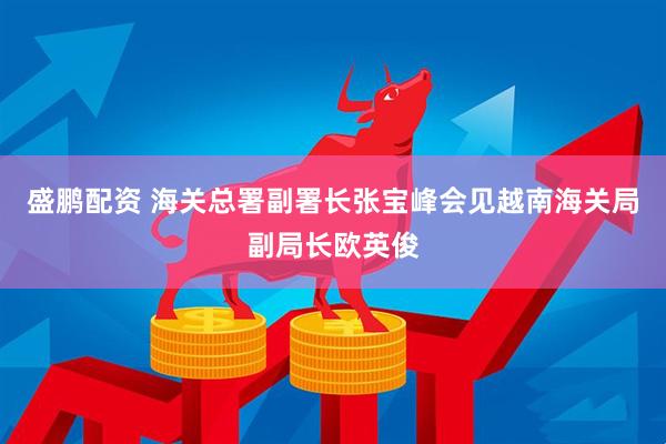 盛鹏配资 海关总署副署长张宝峰会见越南海关局副局长欧英俊