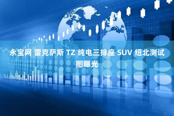 永宝网 雷克萨斯 TZ 纯电三排座 SUV 纽北测试图曝光