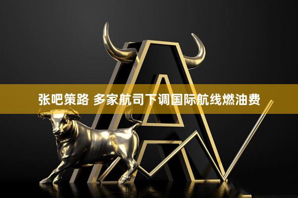 张吧策路 多家航司下调国际航线燃油费