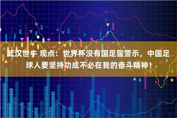 武汉世牛 观点：世界杯没有国足留警示，中国足球人要坚持功成不必在我的奋斗精神！