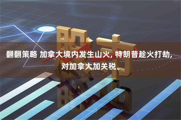 翻翻策略 加拿大境内发生山火, 特朗普趁火打劫, 对加拿大加关税。