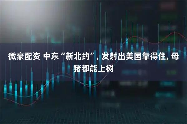 微豪配资 中东“新北约”, 发射出美国靠得住, 母猪都能上树