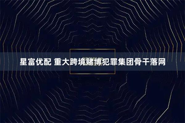 星富优配 重大跨境赌博犯罪集团骨干落网